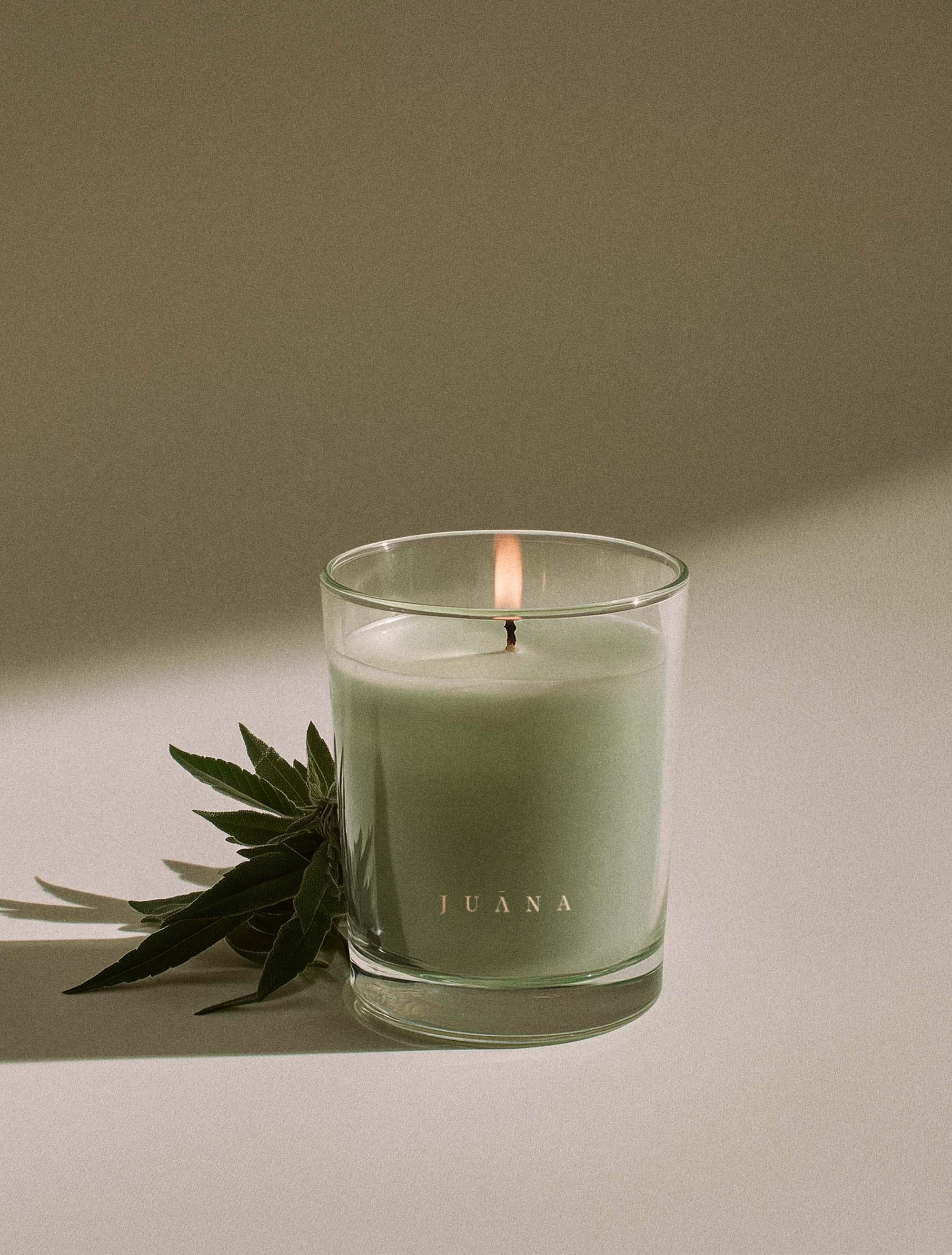 Juana Sage Indica Calm apothecary candle in jar with minimal prop, vegan coco-apricot wax, non-toxic and eco-friendly.