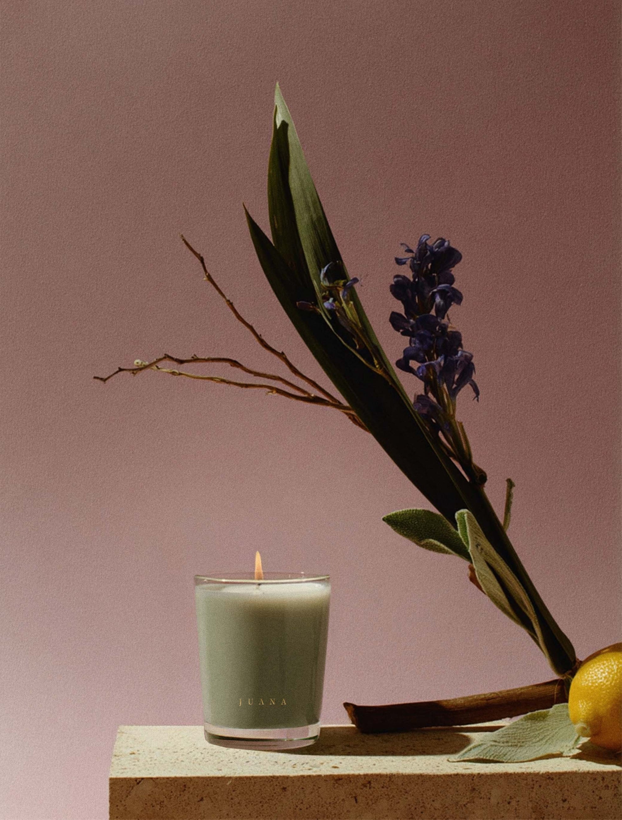 Juana Sage Indica Calm apothecary candles beside a flower, vegan, eco-friendly.