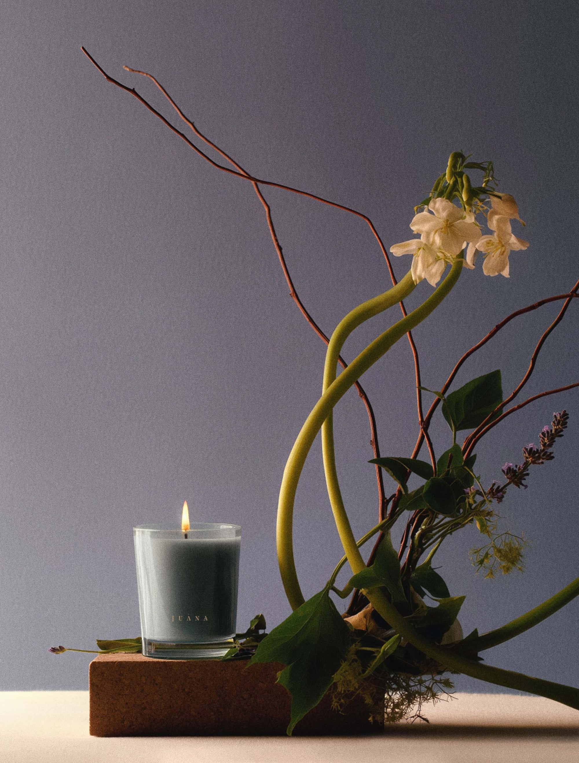 Juana Cassis + Rosemary Focus apothecary candles next to flower, vegan, eco-friendly.
