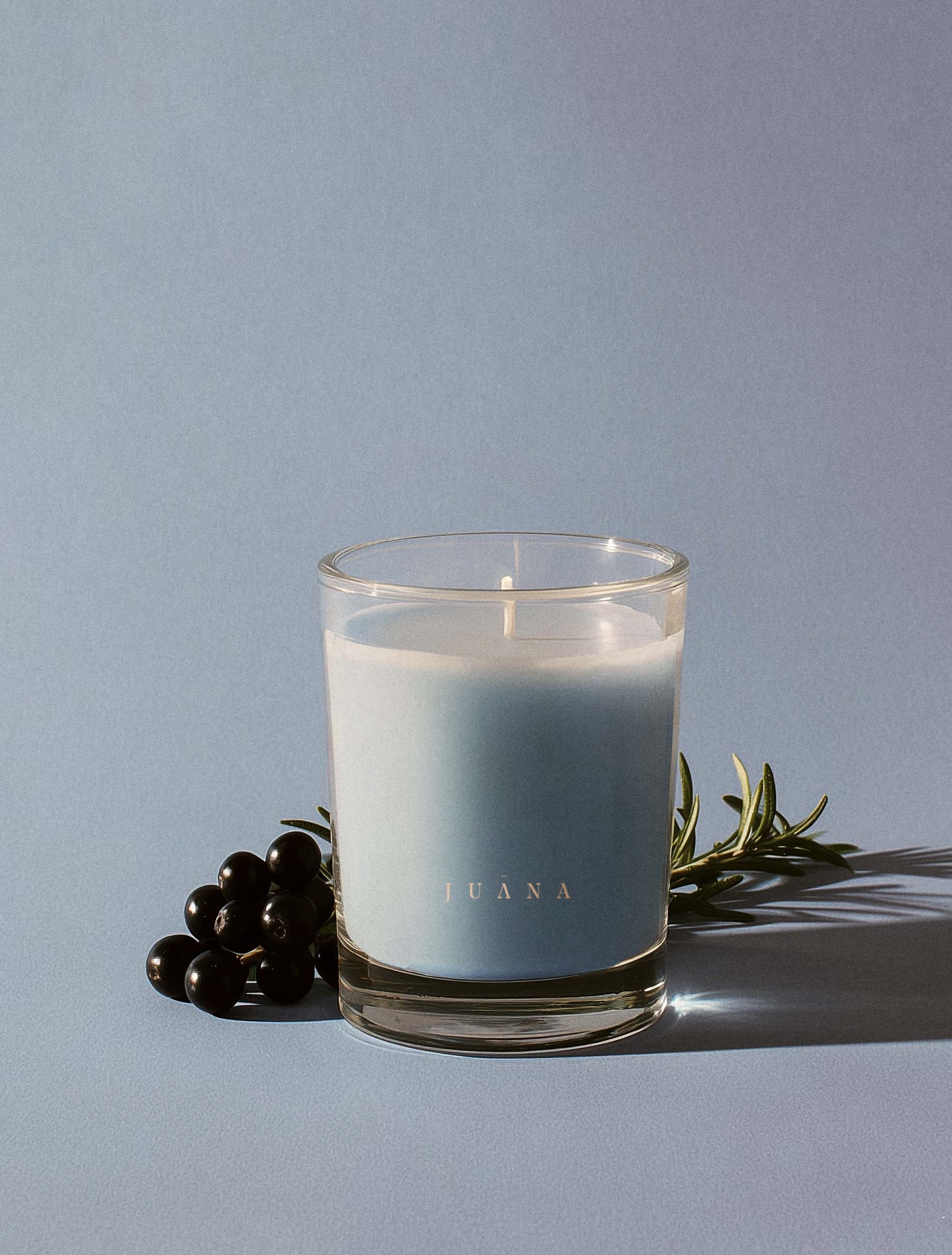 Juana Cassis + Rosemary Focus apothecary candle in jar with minimal prop, vegan coco-apricot wax, non-toxic and eco-friendly.