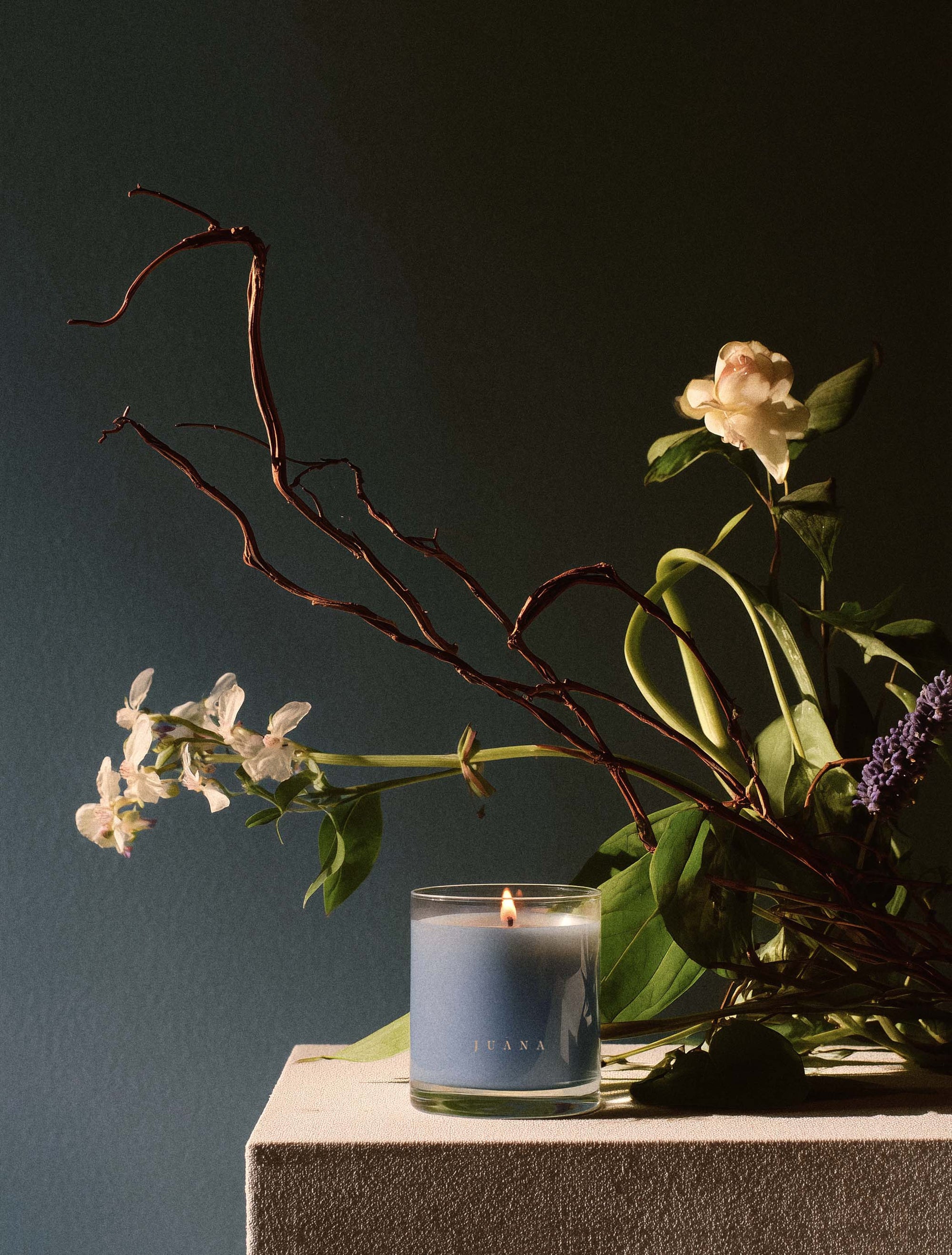 Juana Cassis + Rosemary Focus apothecary medium candles next to flower in vase, vegan, eco-friendly.