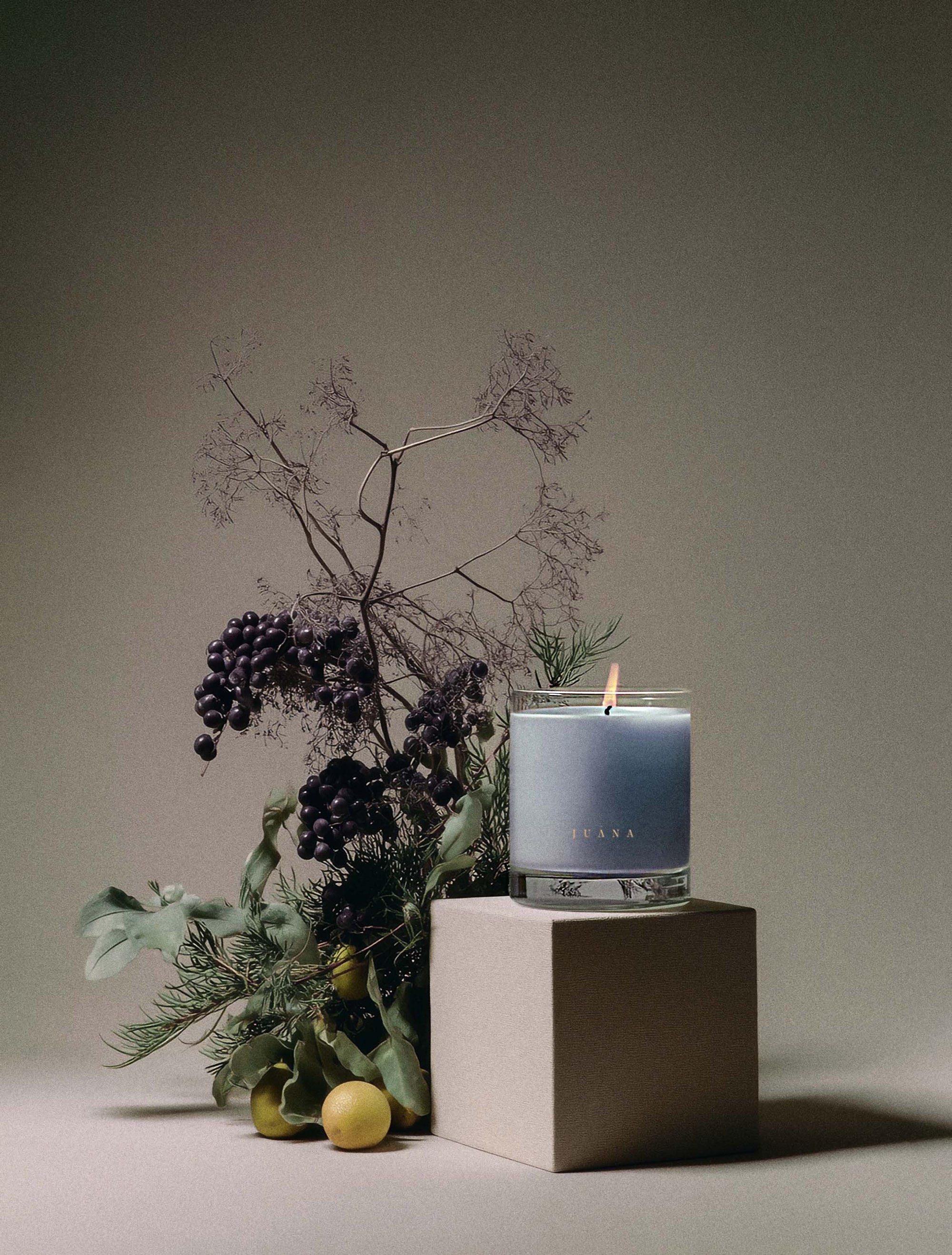 Juana Cassis + Rosemary Focus apothecary medium candle with ikebana-inspired botanical arrangement, vegan coco-apricot wax, eco-friendly.