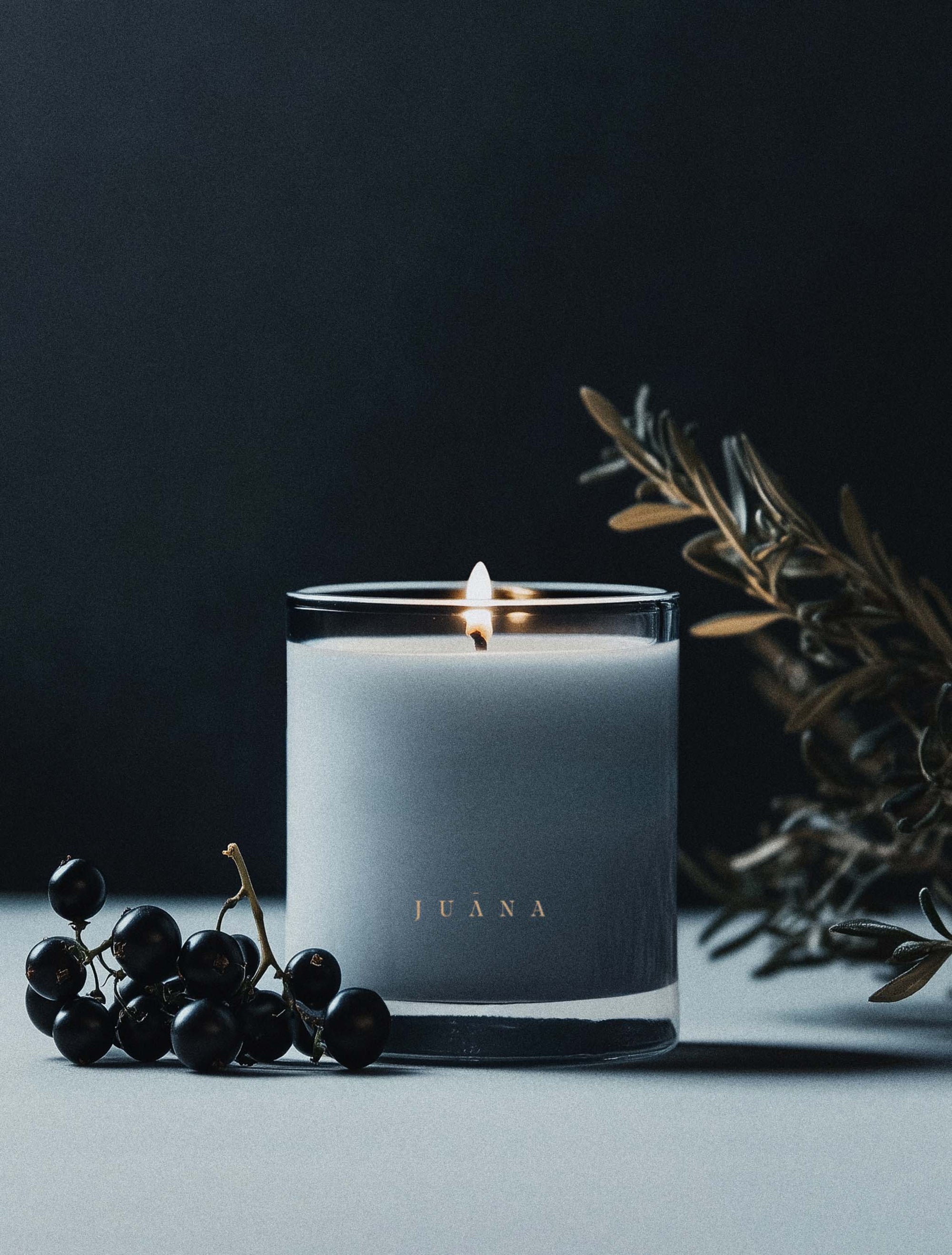 Juana Cassis + Rosemary Focus apothecary medium candle in jar with minimal prop, vegan coco-apricot wax, non-toxic and eco-friendly.