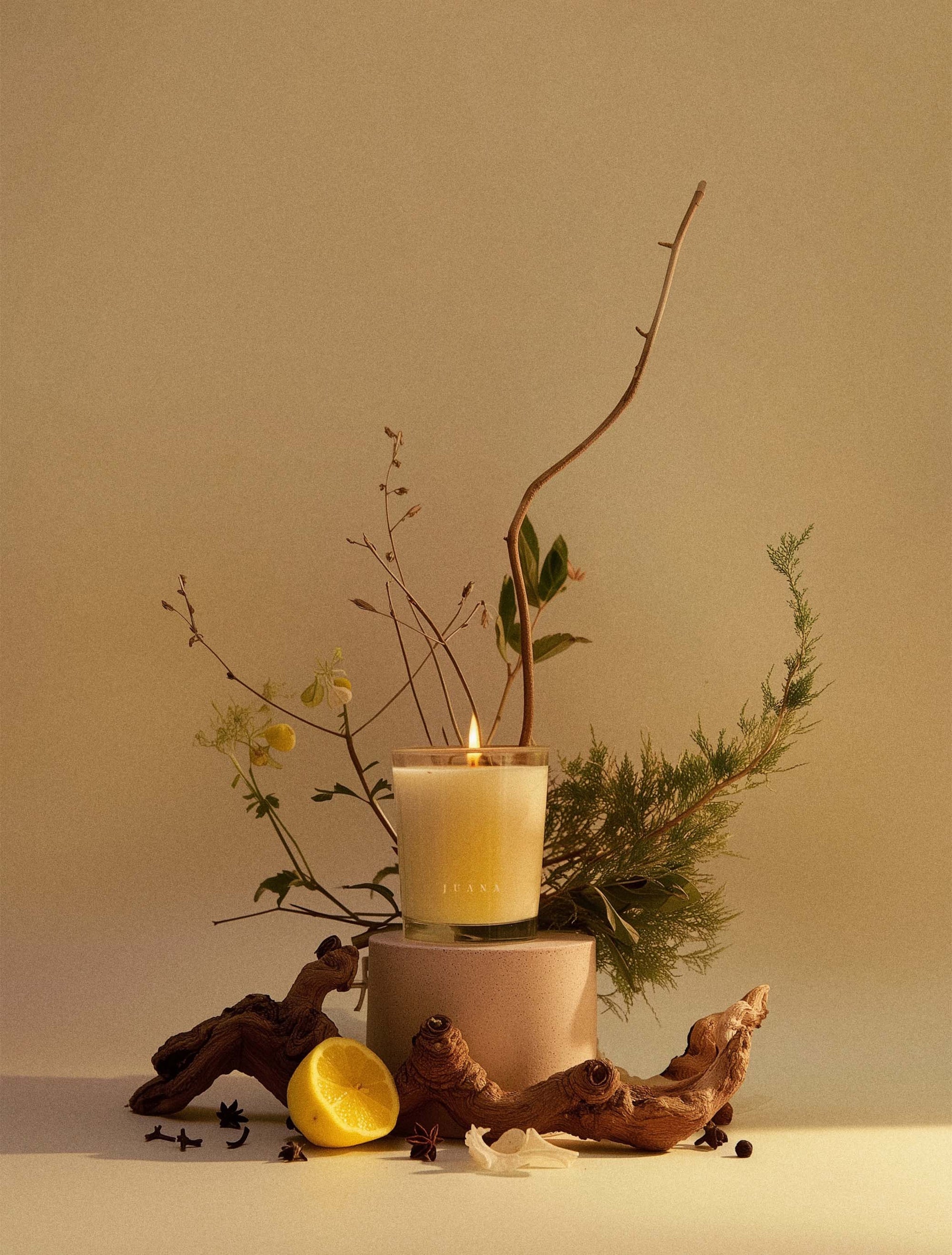 Juana Cypress + Mint Recovery apothecary candle with ikebana-inspired botanical arrangement, vegan coco-apricot wax, eco-friendly.