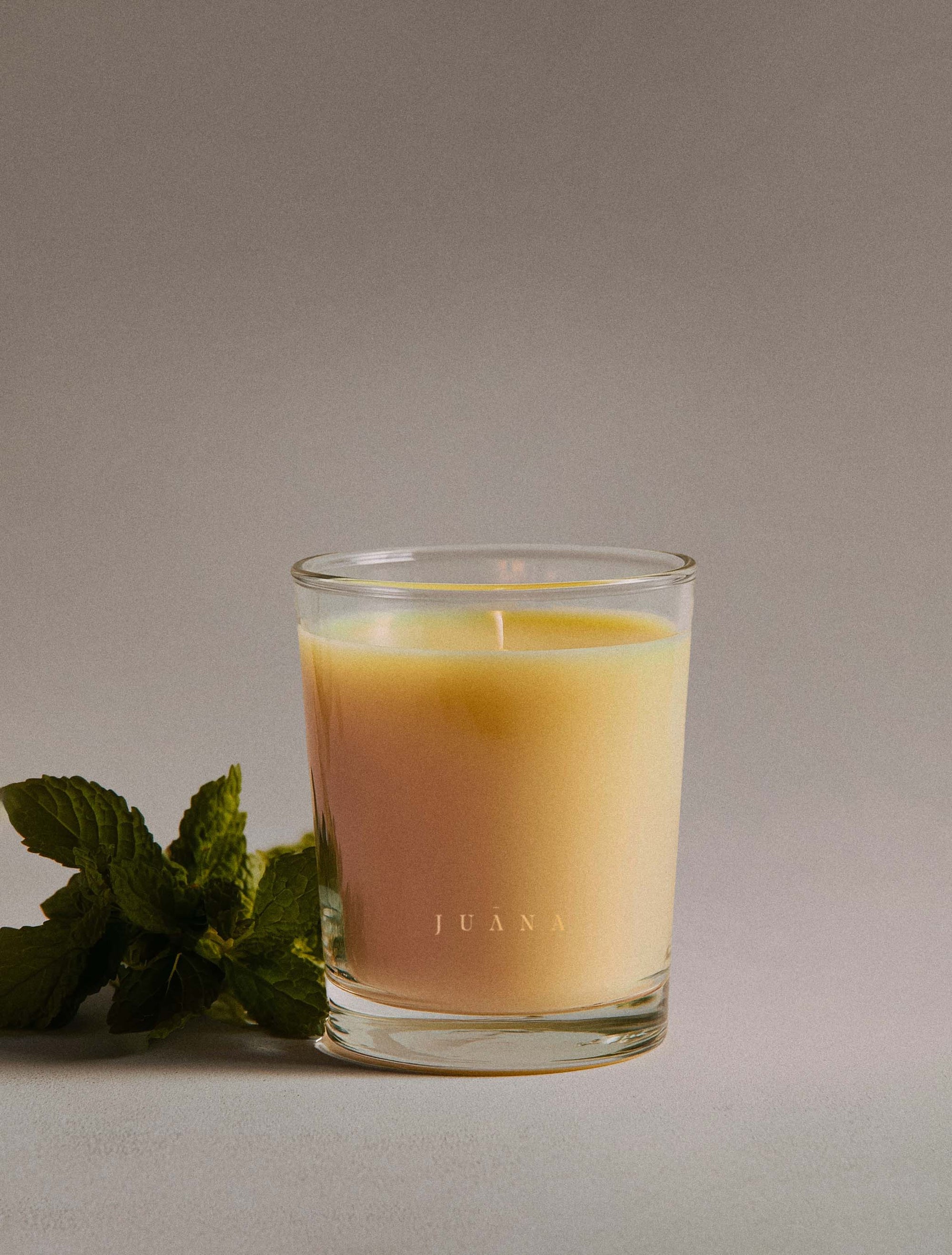 Juana Cypress + Mint Recovery apothecary candle in jar with minimal prop, vegan coco-apricot wax, non-toxic and eco-friendly.