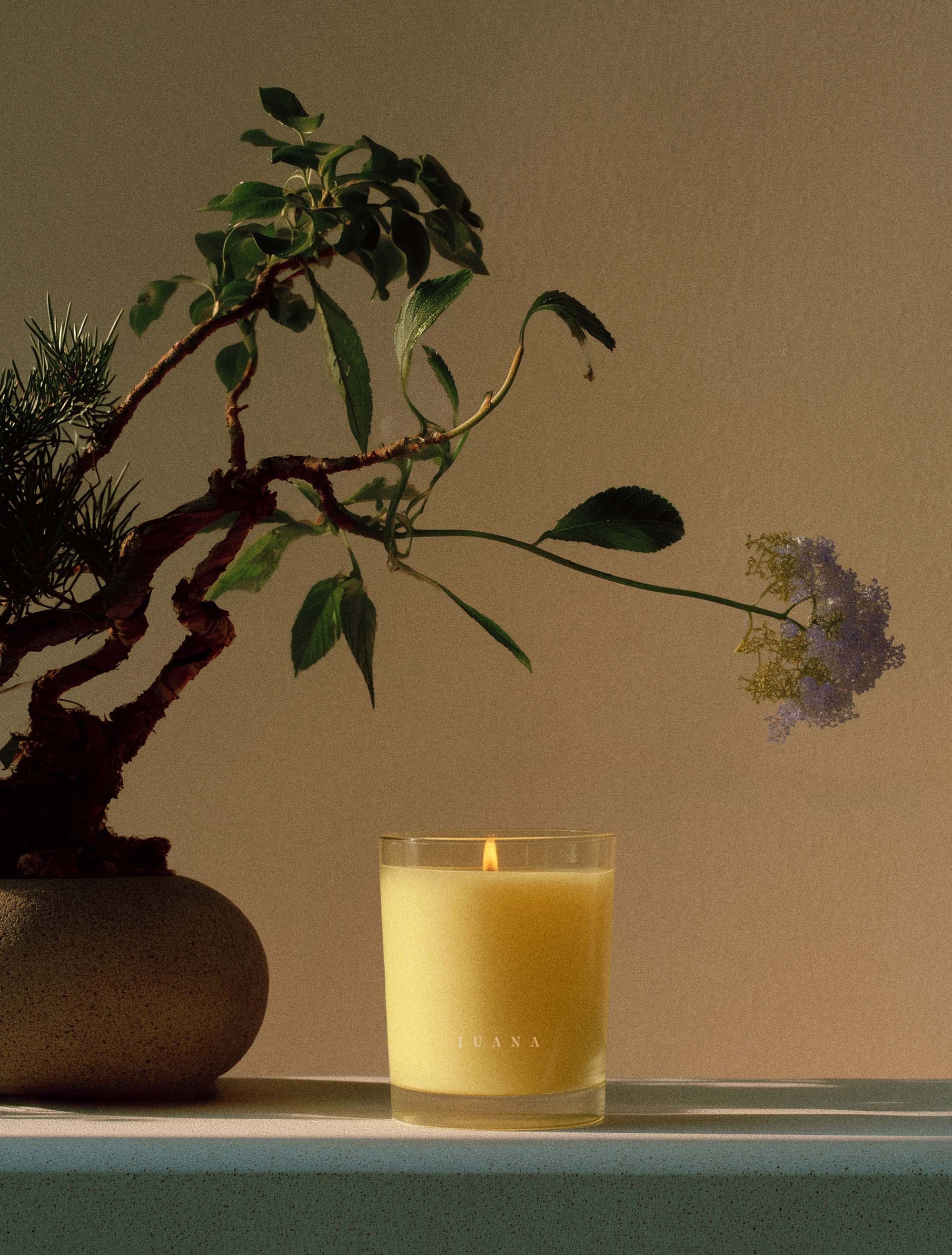 Juana Cypress + Mint Recovery apothecary candles beside a flower in vase, vegan, eco-friendly.