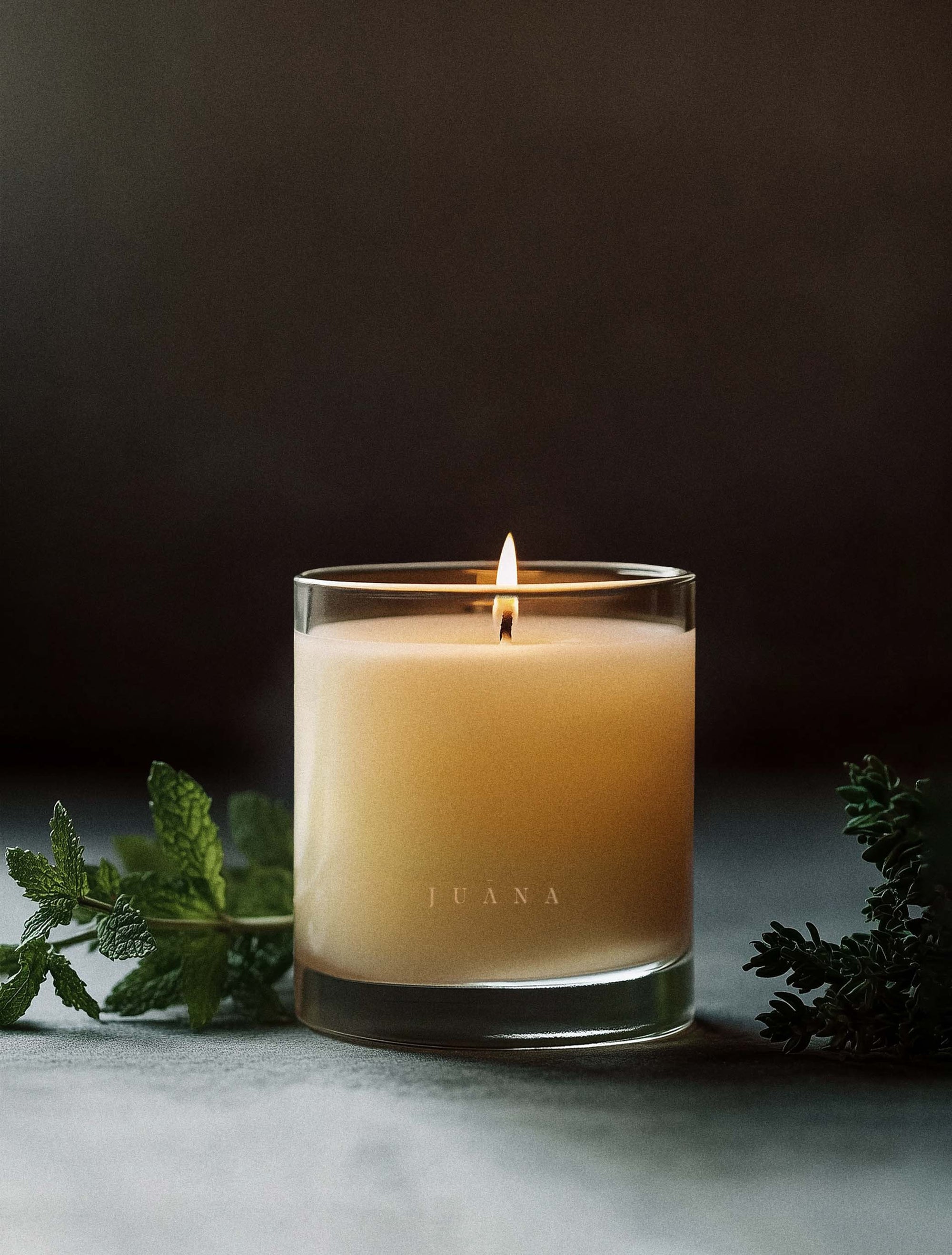 Juana Cypress + Mint Recovery apothecary medium candle in jar with minimal prop, vegan coco-apricot wax, non-toxic and eco-friendly.
