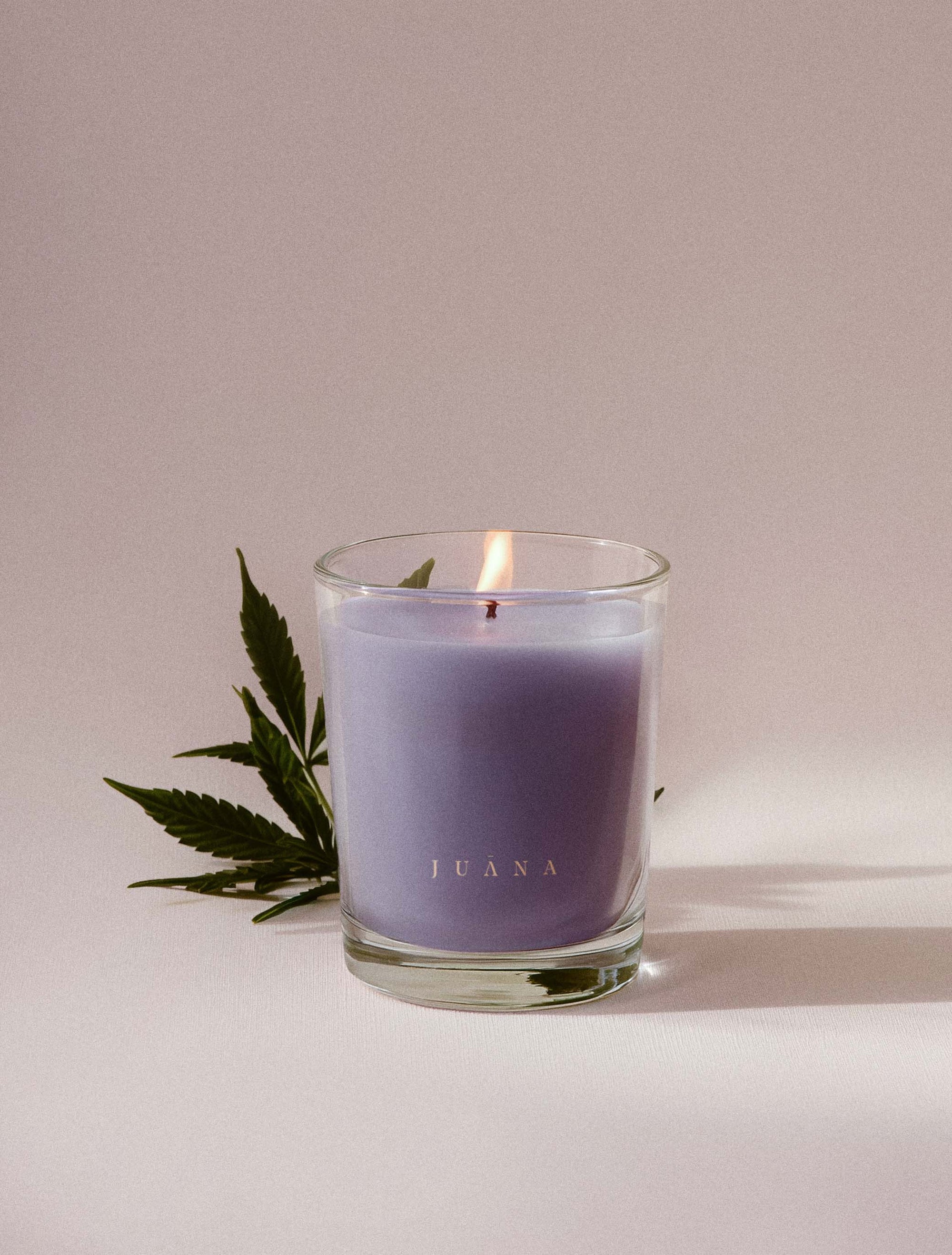 Juana Sandalwood + Hashish Rest apothecary candle in jar with minimal prop, vegan coco-apricot wax, non-toxic and eco-friendly.