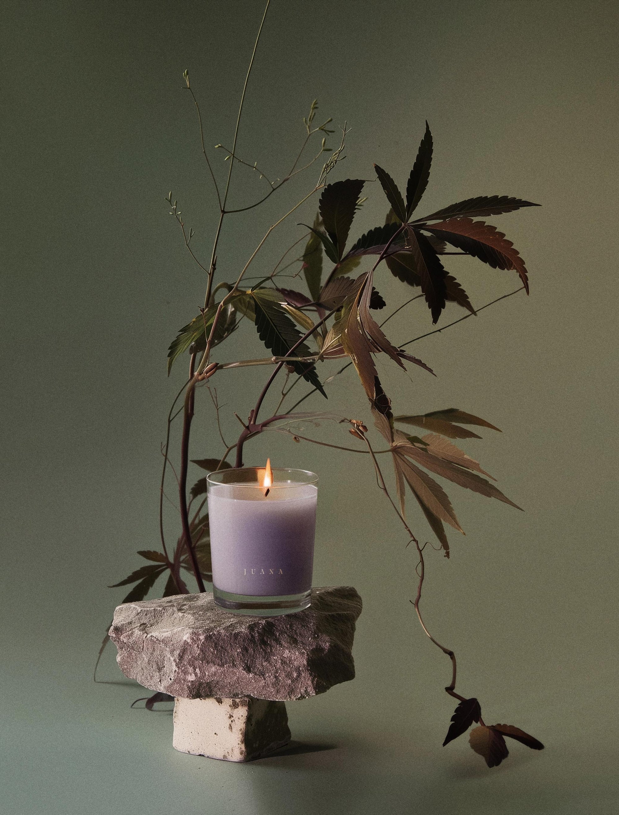 Juana Sandalwood + Hashish Rest apothecary candles beside a flower, vegan, eco-friendly.