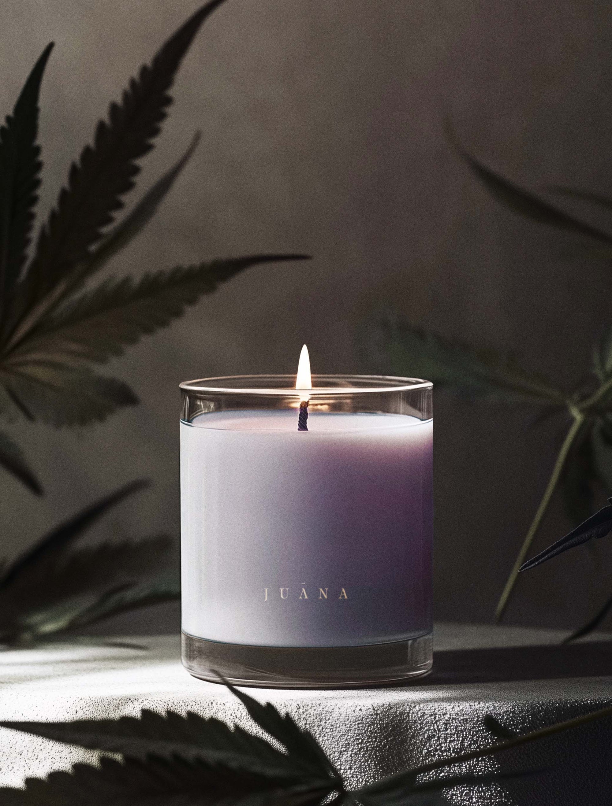 Juana Sandalwood + Hashish Rest apothecary medium candle in jar with minimal prop, vegan coco-apricot wax, non-toxic and eco-friendly.