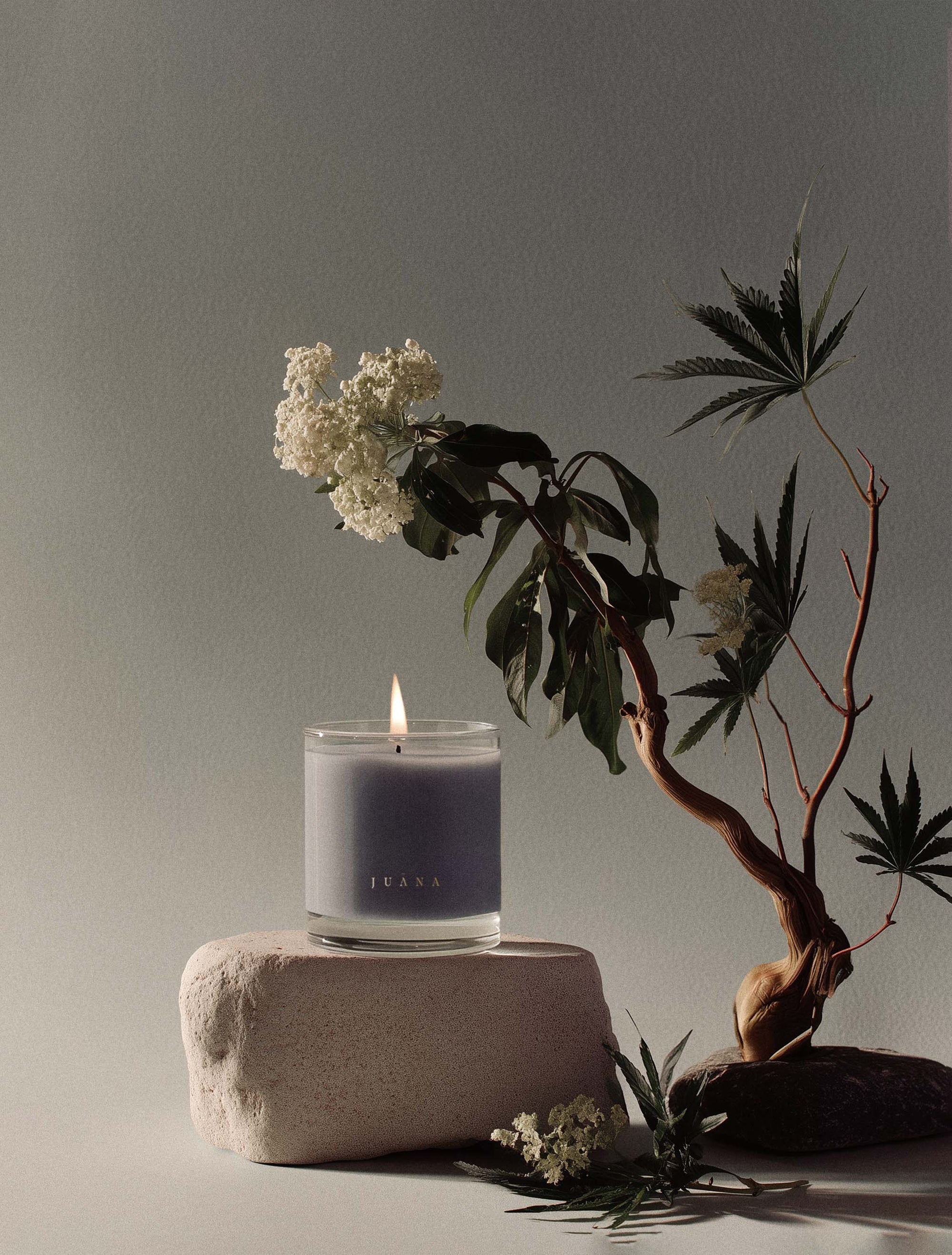 Juana Sandalwood + Hashish Rest apothecary medium candles beside a flower in vase, vegan, eco-friendly.