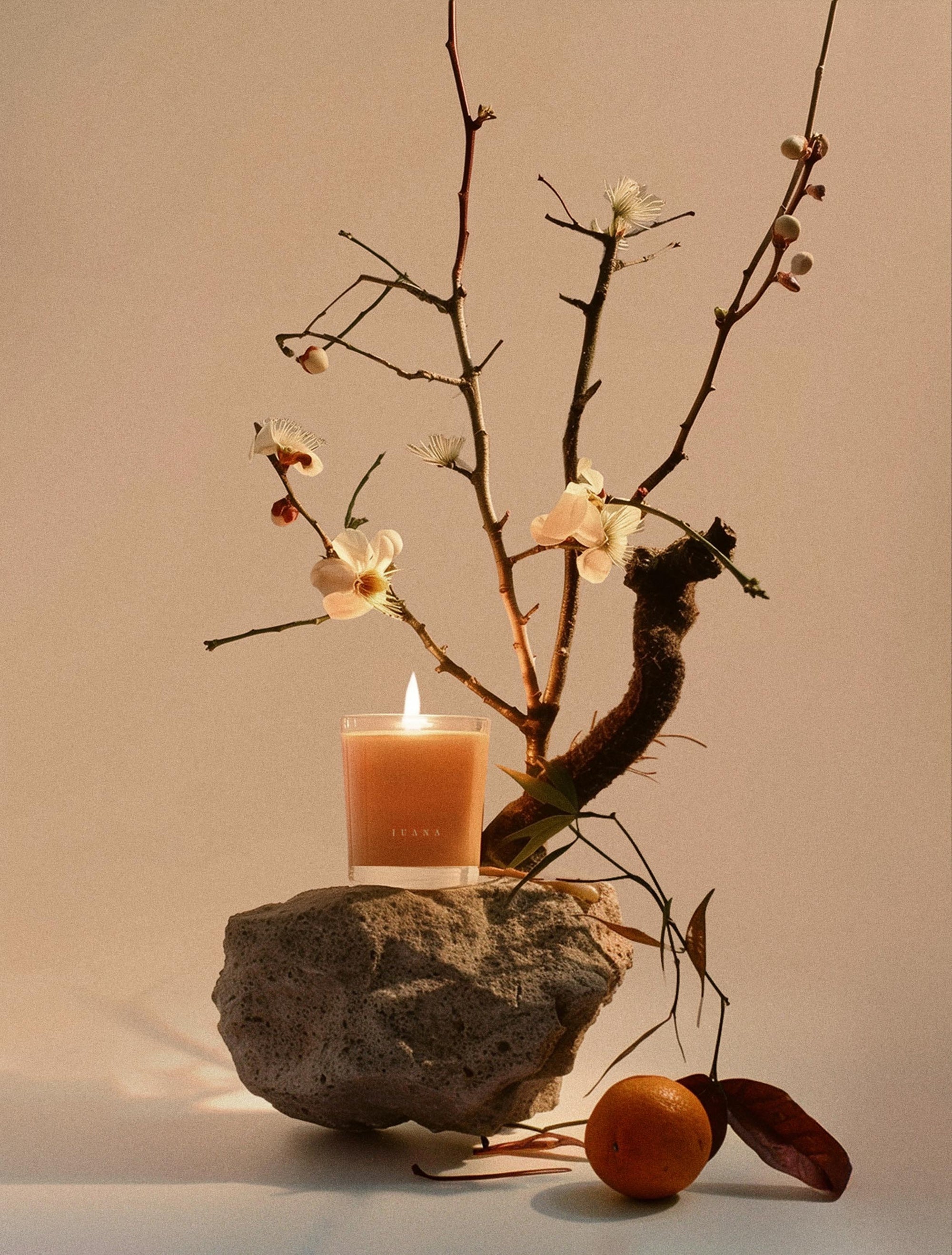 Juana Bergamot + Sativa Uplift apothecary candle with ikebana-inspired botanical arrangement, vegan coco-apricot wax, eco-friendly.