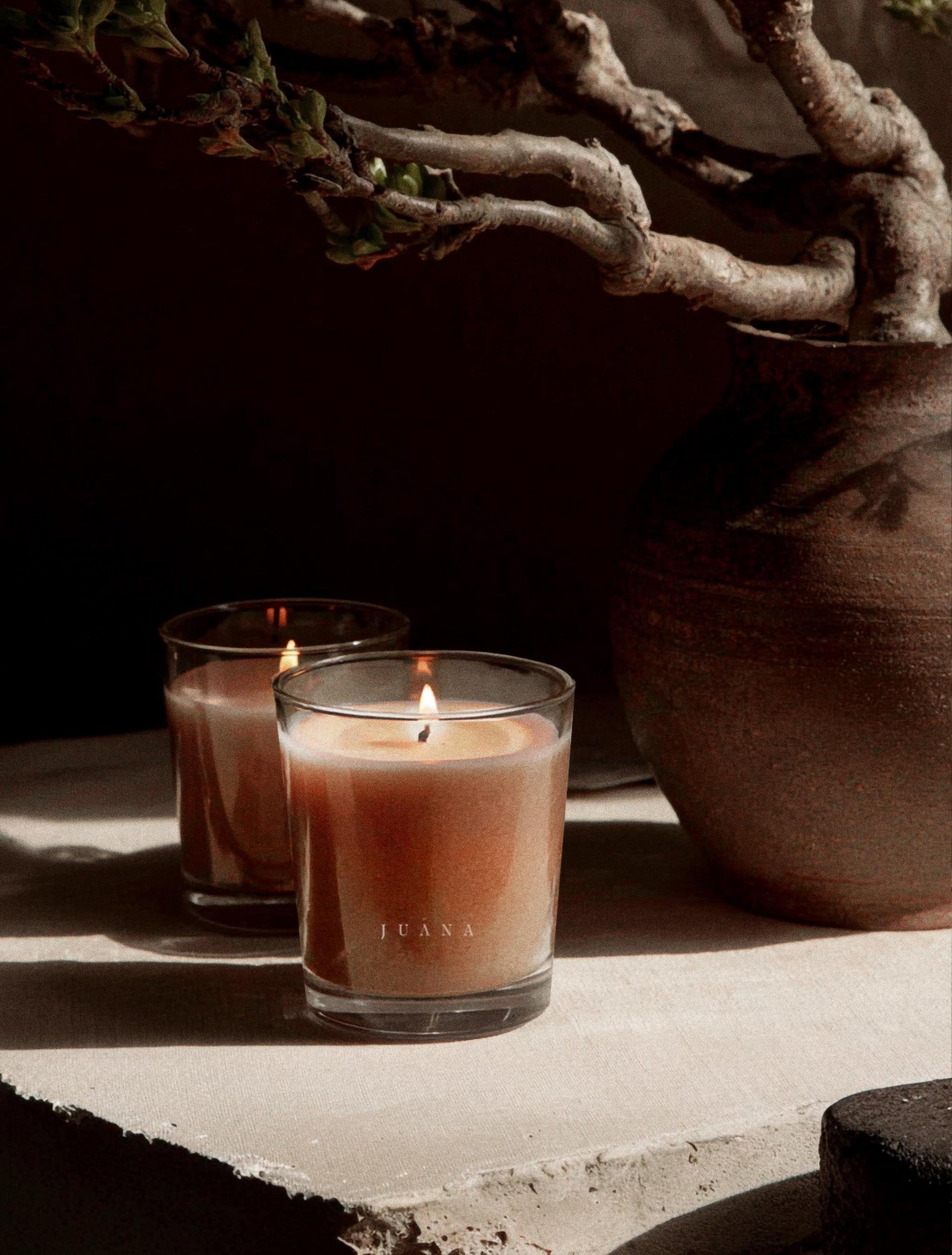 Two Juana Bergamot + Sativa Uplift apothecary candles beside a flower in vase, vegan, eco-friendly.