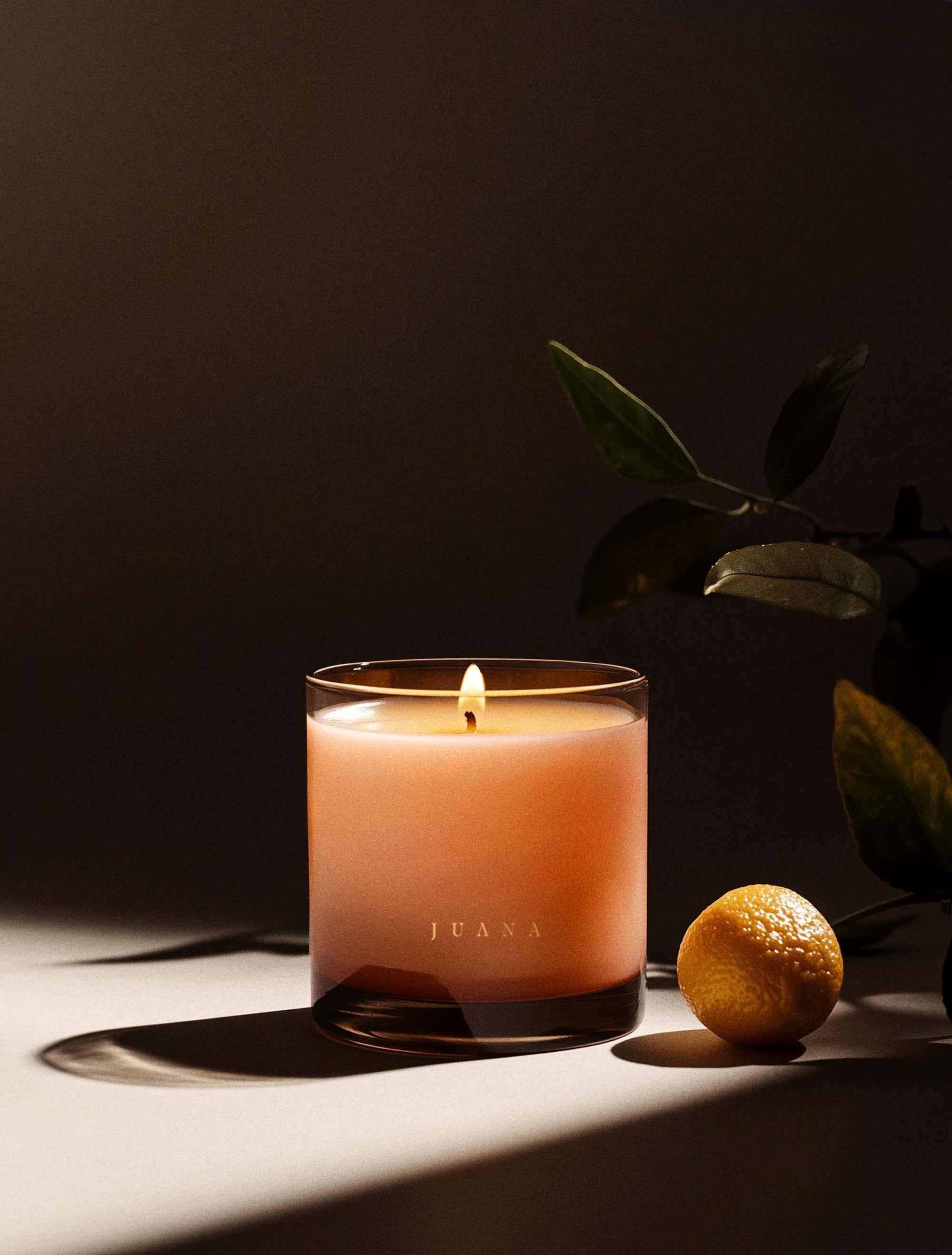 Juana Bergamot + Sativa Uplift apothecary medium candle in jar with minimal prop, vegan coco-apricot wax, non-toxic and eco-friendly.