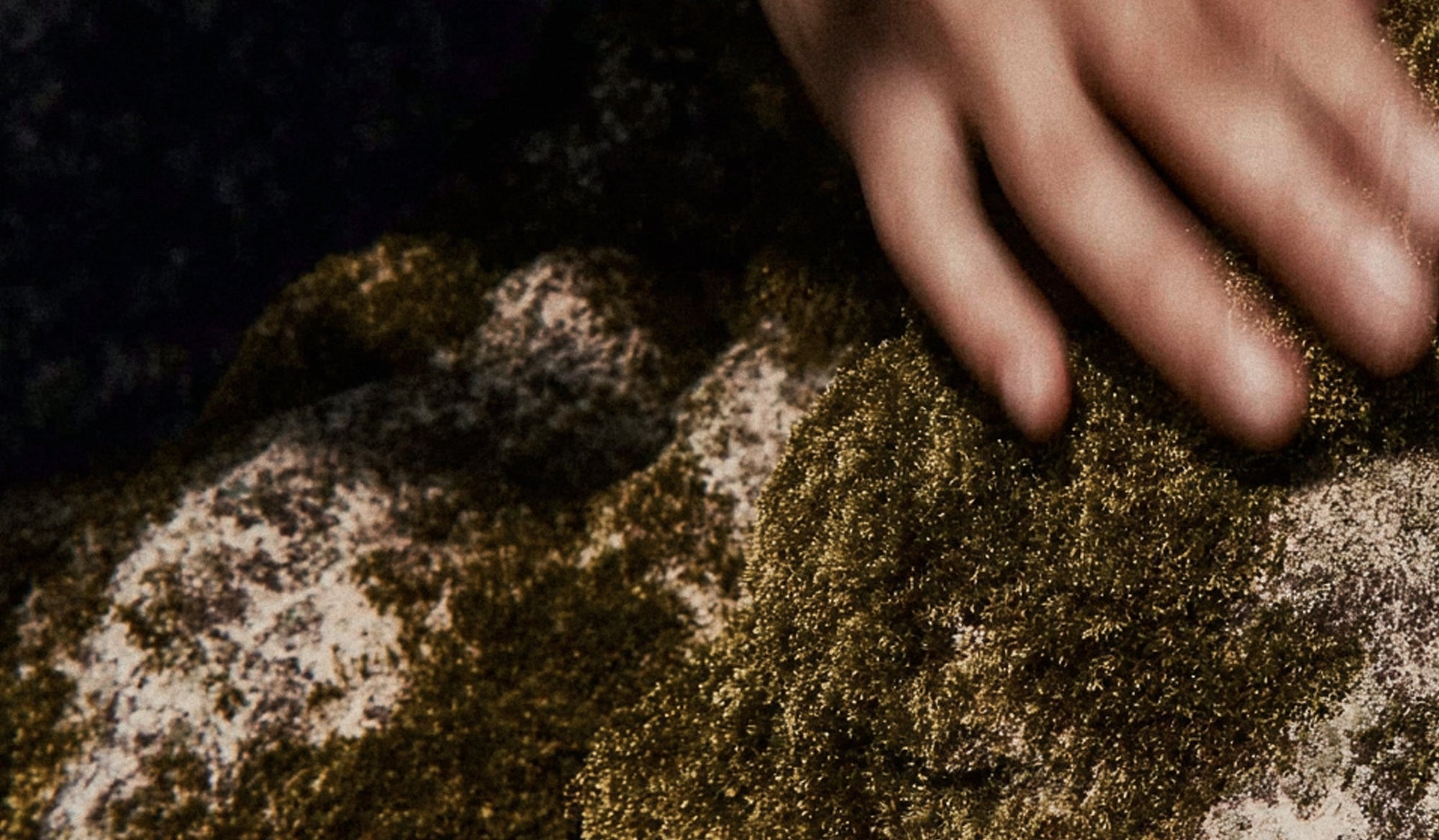 5 Sustainable Lifestyle Choices to Nourish the Soul and the Earth