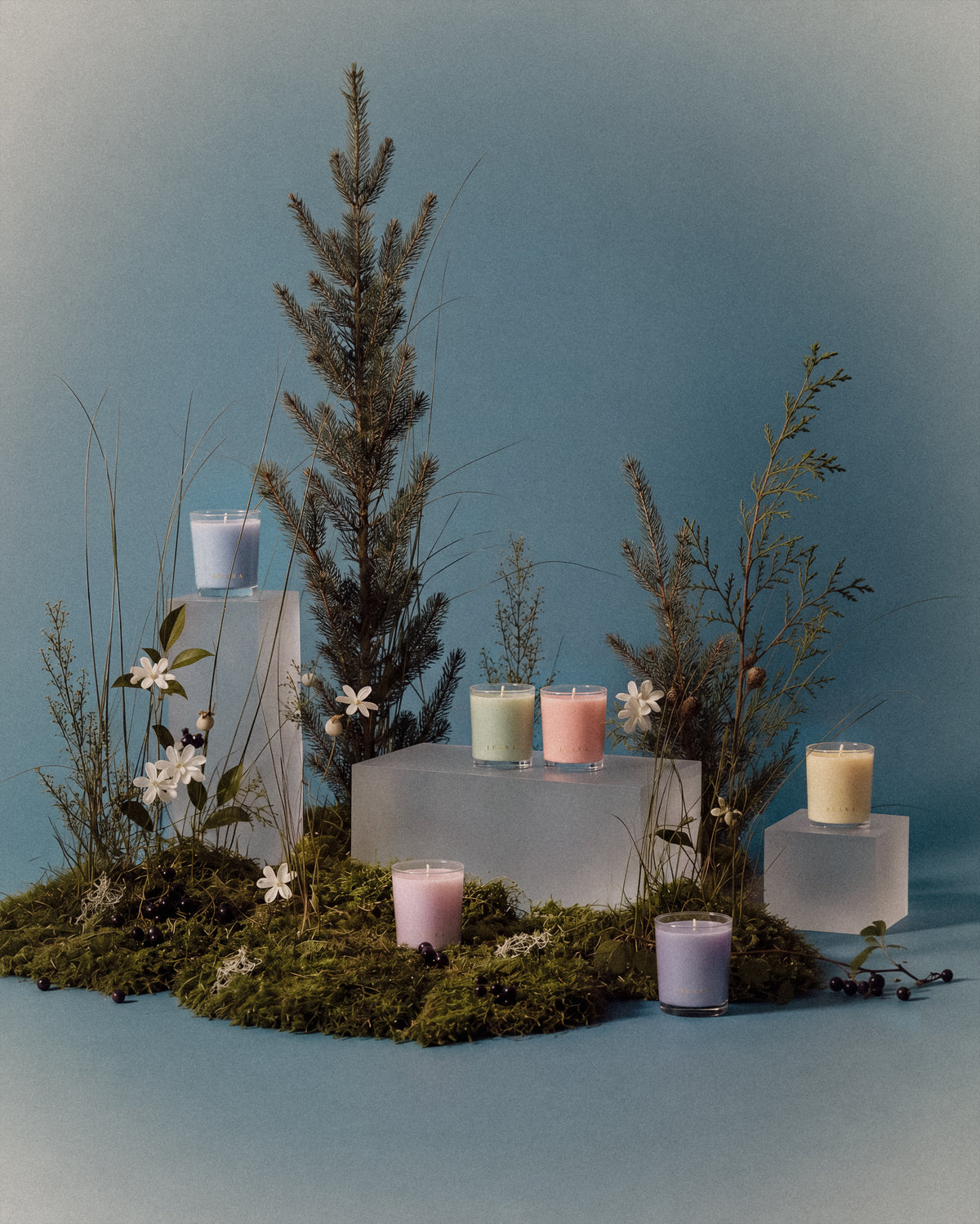 Juana Apothecary Candle Discovery Set