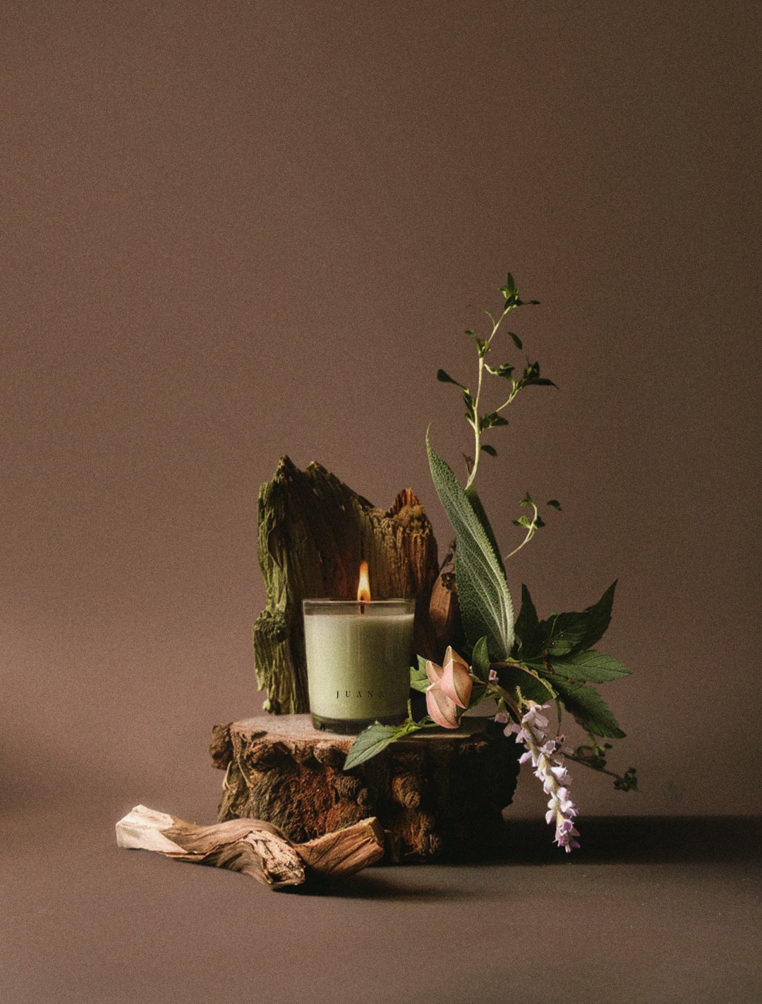 Calm apothecary candle using sustainable coco-apricot wax, complemented by ikebana-style botanical design, non-toxic, vegan, soothes stress and creates tranquility.