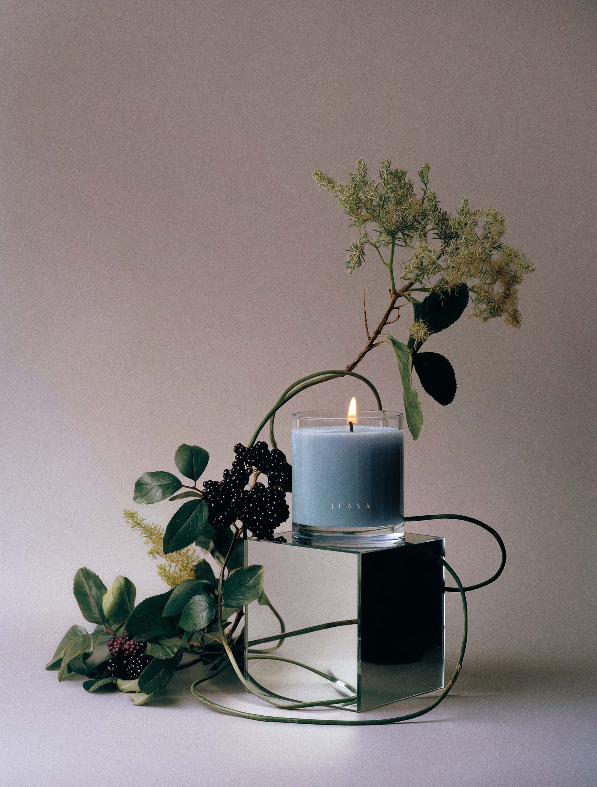 Juana Cassis + Rosemary Focus apothecary medium candle with ikebana-inspired botanical arrangement, vegan coco-apricot wax, eco-friendly.