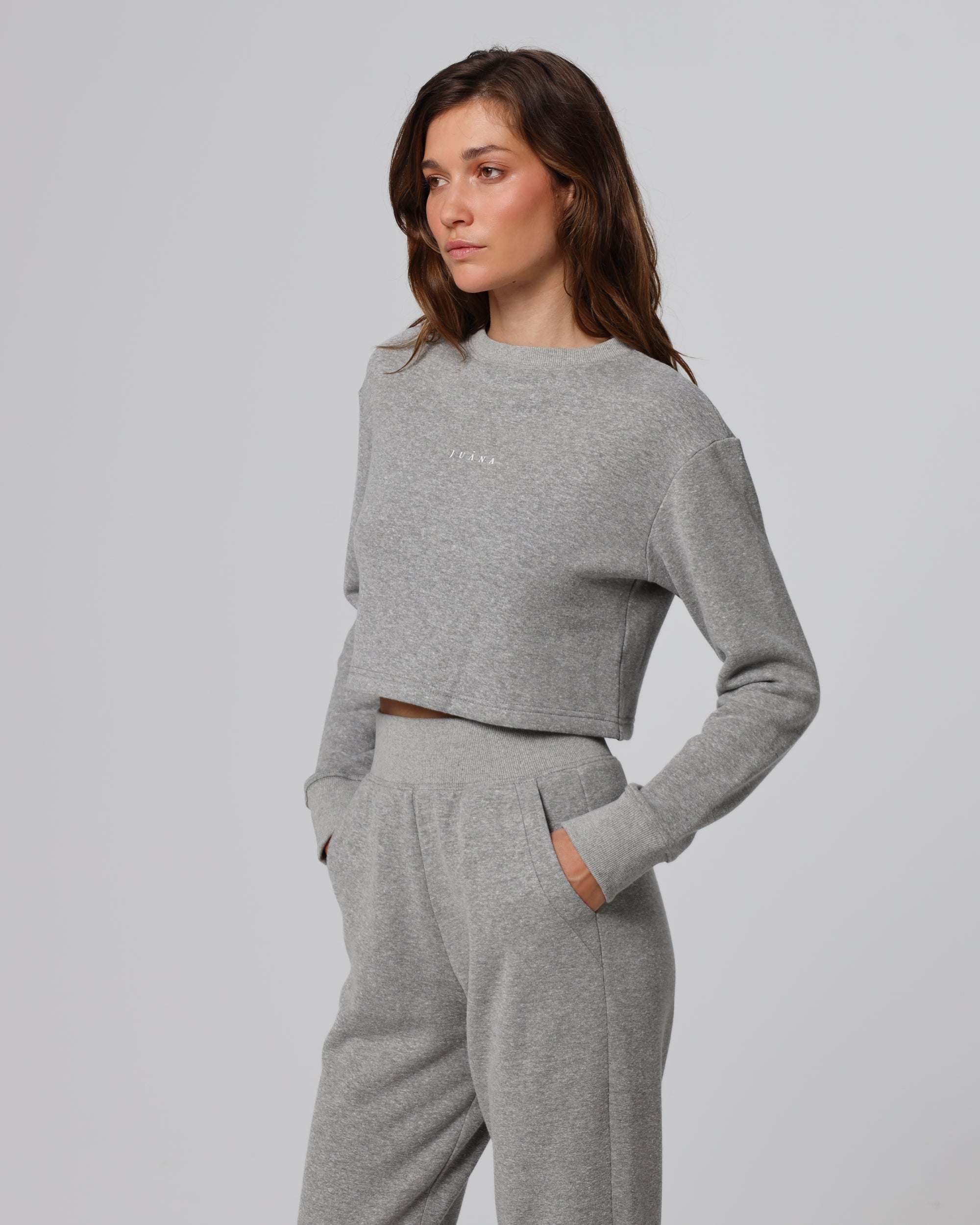 Full-body view of gray Off Hours Crewneck Sweater paired with Off Hours Mid Rise Joggers for a matching set.