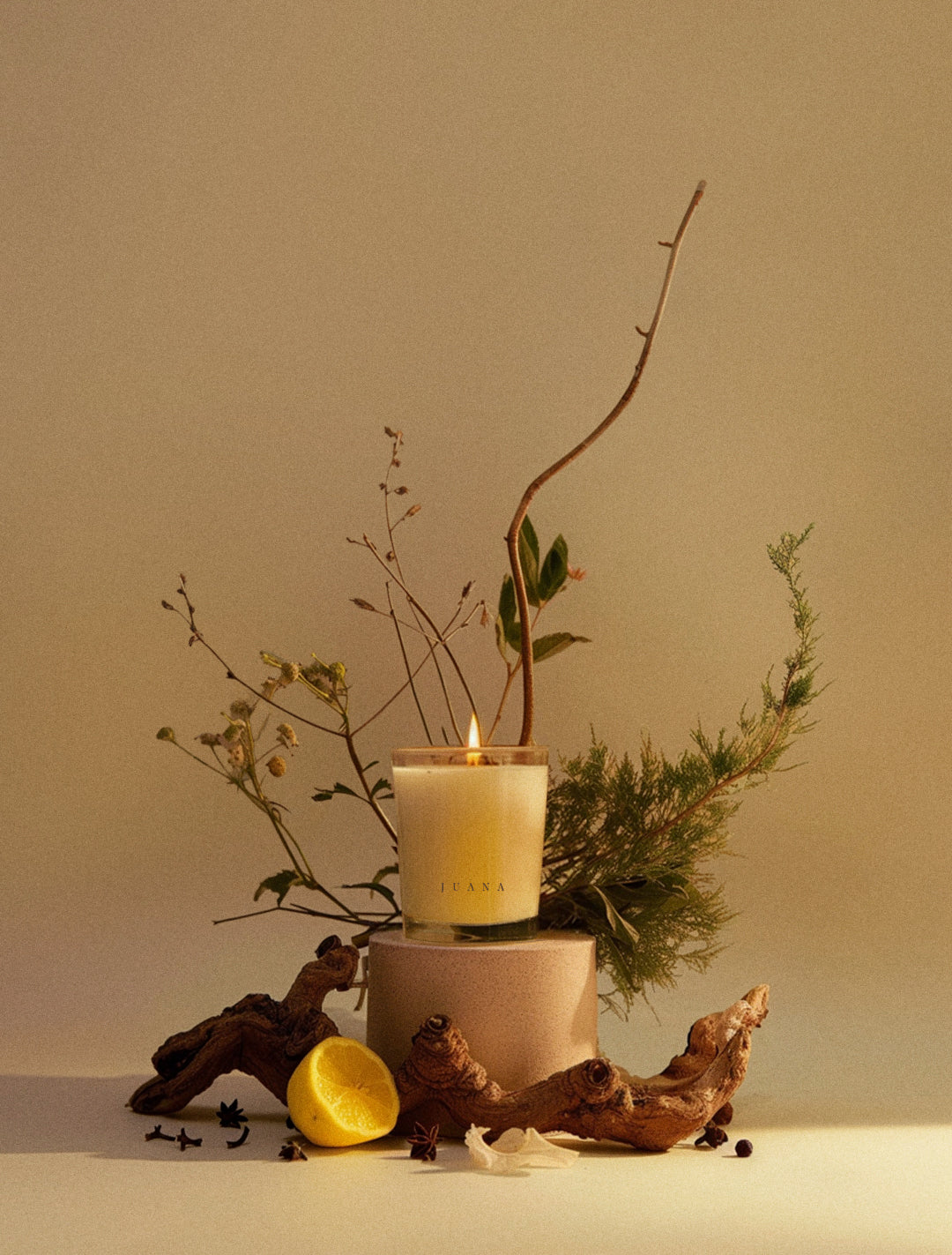 Recover apothecary candle crafted from sustainable coco-apricot wax, displayed with ikebana-style botanical accents, non-toxic, vegan, supports relaxation and recovery.