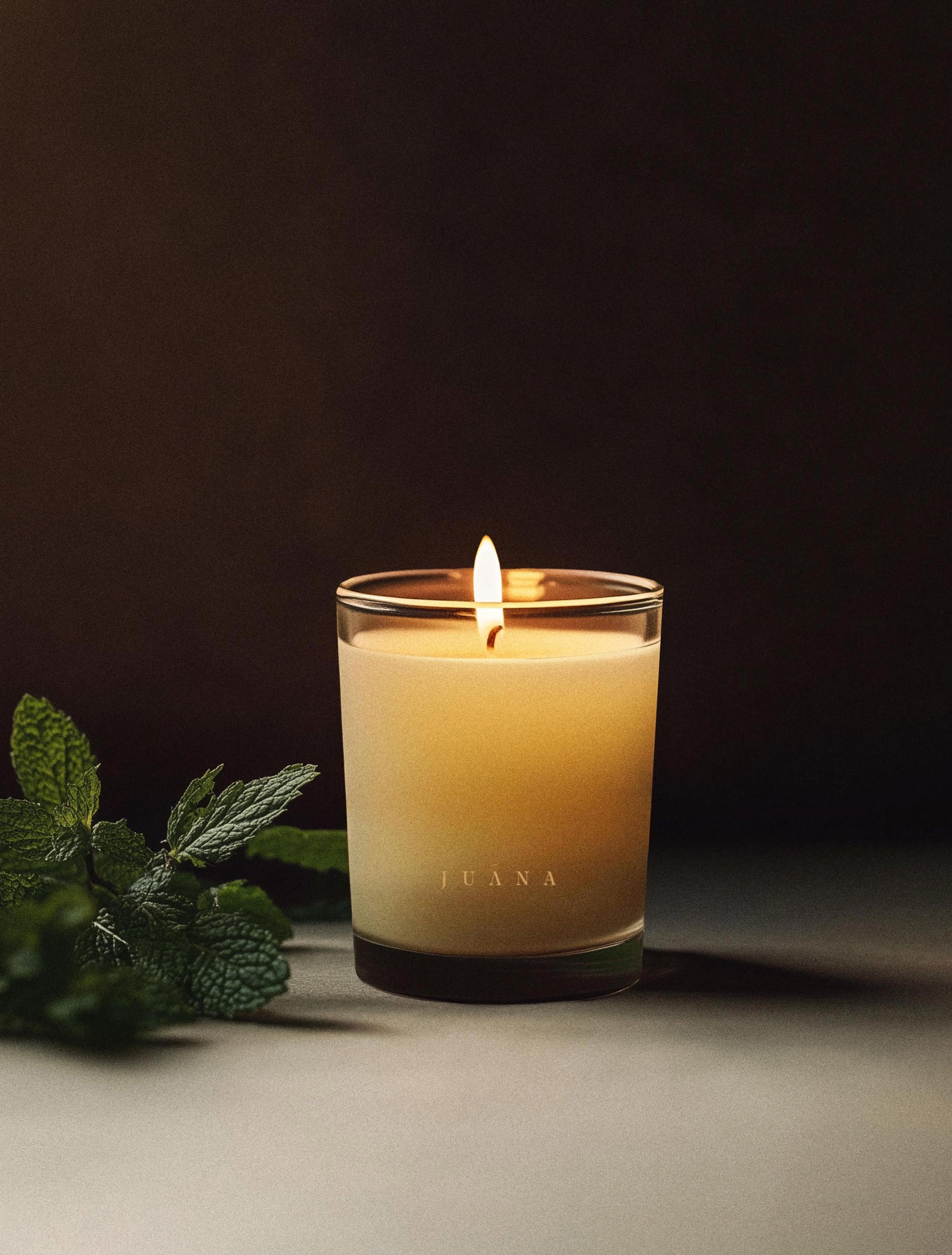 Juana Cypress + Mint Recovery apothecary candle in jar with minimal prop, vegan coco-apricot wax, non-toxic and eco-friendly.