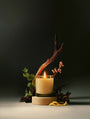 Juana Cypress + Mint Recovery apothecary medium candle with ikebana-inspired botanical arrangement, vegan coco-apricot wax, eco-friendly.