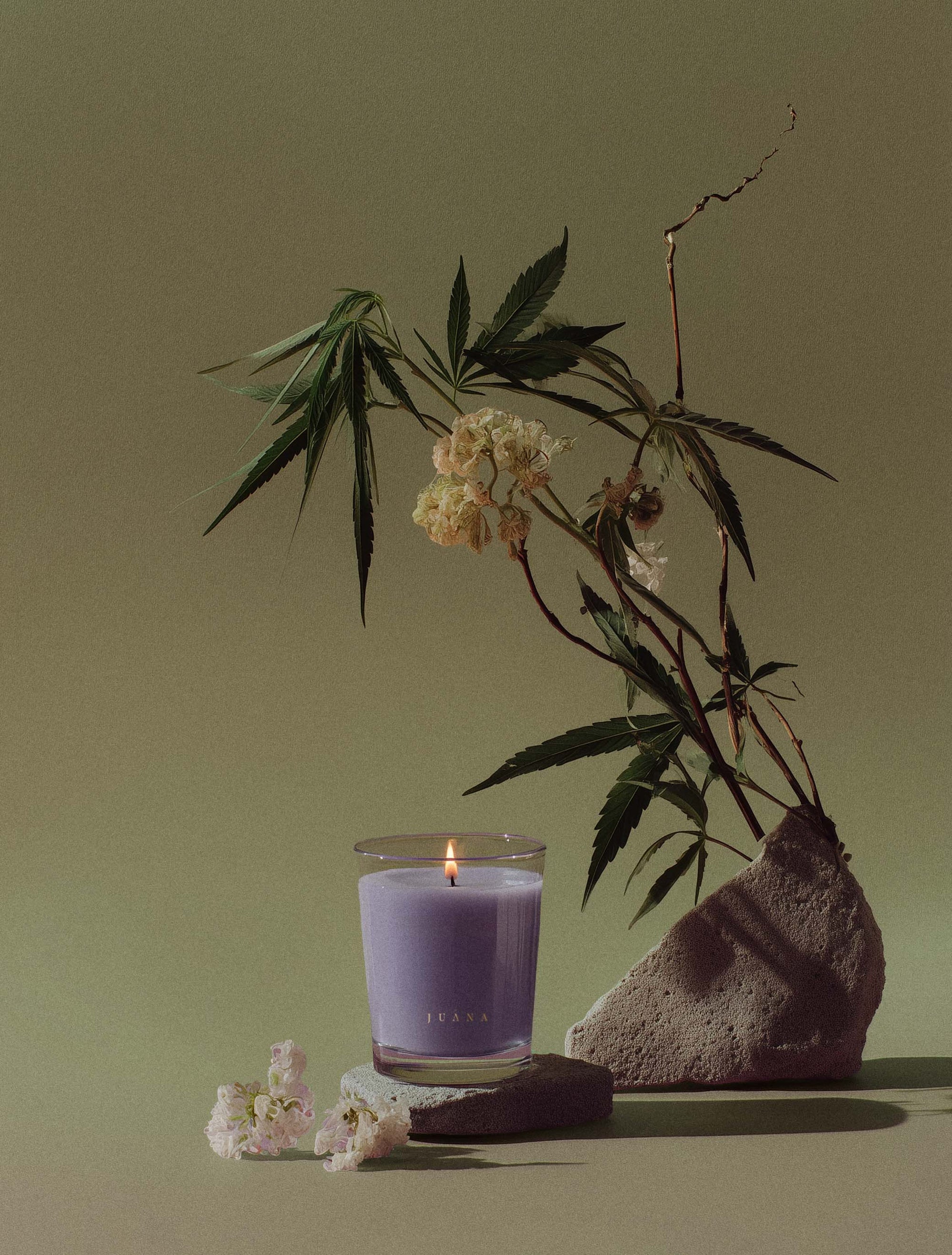 Juana Sandalwood + Hashish Rest apothecary candle with ikebana-inspired botanical arrangement, vegan coco-apricot wax, eco-friendly.
